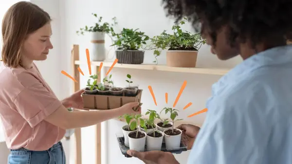 Temperos Naturais Essenciais: O Jardim em Casa que Transforma Sua Cozinha