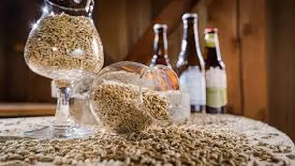 Como Fazer Cerveja Caseira para Iniciantes: Seu Guia Completo para o Homebrewing em Casa