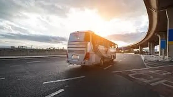 Tour Gastronômico de Ônibus em São Paulo: Como Funciona