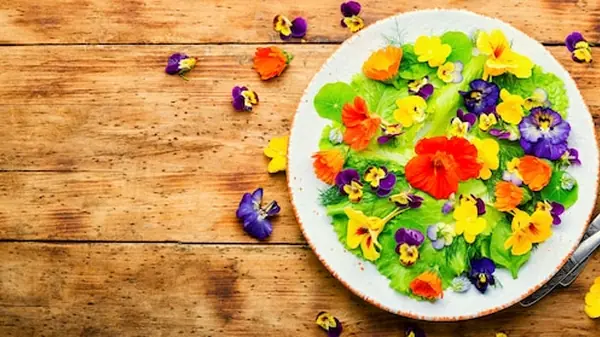 Comida Fluorescente: Uma Moda Culinária Impulsionada pela Internet ou Uma Loucura Sem Retorno?